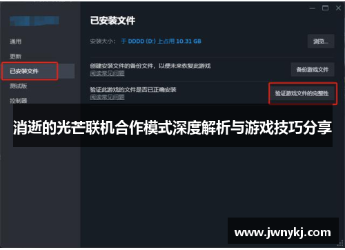 消逝的光芒联机合作模式深度解析与游戏技巧分享